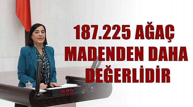 AĞAÇ MADENDEN DAHA DEĞERLİDİR