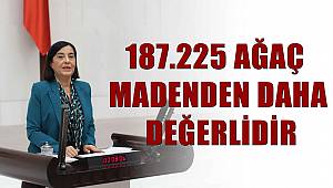 AĞAÇ MADENDEN DAHA DEĞERLİDİR