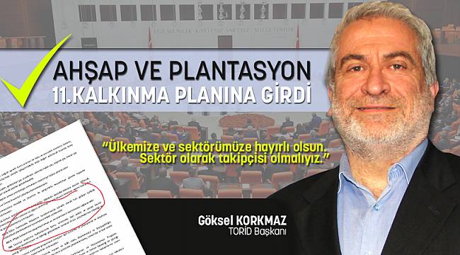 AHŞAP ve PLANTASYON 11.KALKINMA PLANINA GİRDİ!