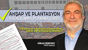 AHŞAP ve PLANTASYON 11.KALKINMA PLANINA GİRDİ!