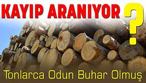 KAYIP ARANIYOR ! Tonlarca Odun Buhar Olmuş!