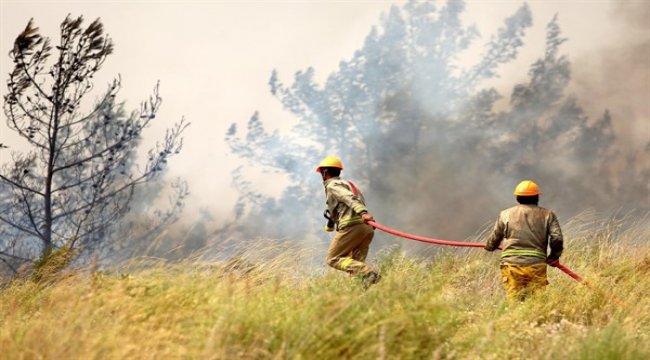 Karadeniz’deki Yangınların Tamamı Kontrol Altına Alındı