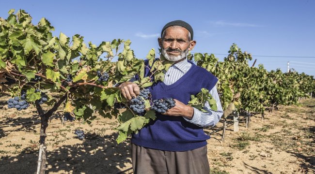 ORKÖY Faaliyetleri ile 9 Bin 341 Ailenin Yüzü Güldü