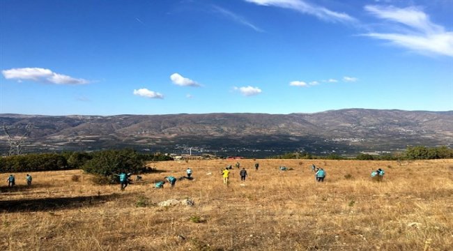 Denetimli Serbestlik Kapsamındaki Yükümlüler Milyonlarca Fidanı Toprakla Buluşturdu