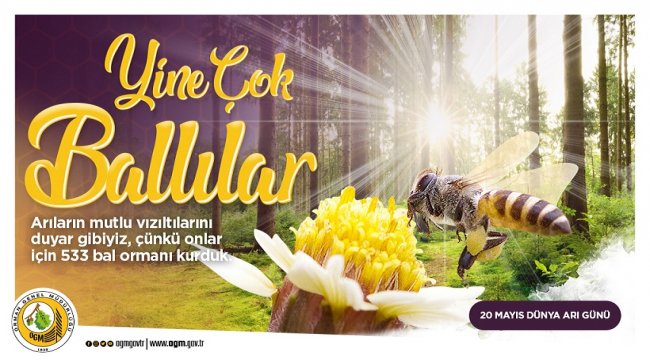 Bal Ormanları Ülke Ekonomisine de Enerji Veriyor