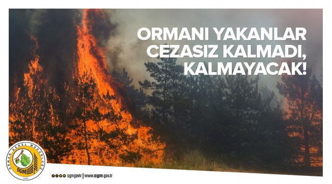 İstanbul Aydos Ormanını Yakan Sanığa 25 Yıl Hapis Cezası Verildi