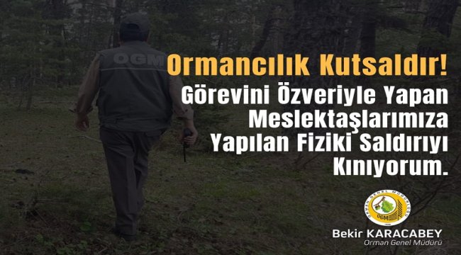 Orman Koruma Faaliyeti Esnasında Ekiplerimize Yapılan Fiziki Saldırıları Kınıyoruz.