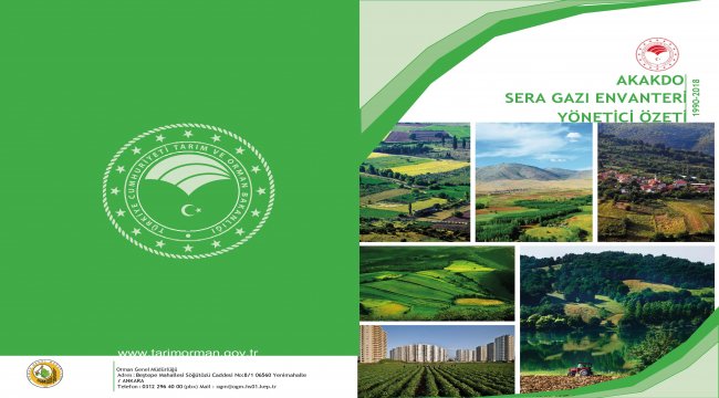 Türkiye Ormanları Sera Gazı Salımının Yüzde 16 sını Tutuyor