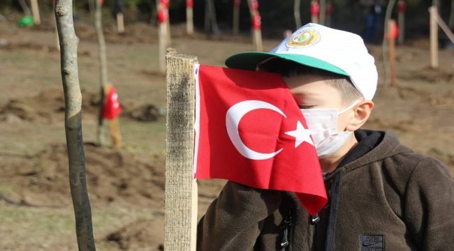 Tohumlar Fidana Dönüşüyor