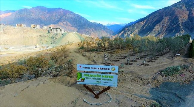 Daha Yeşil Türkiye İçin Çalışmaya Devam Ediyoruz