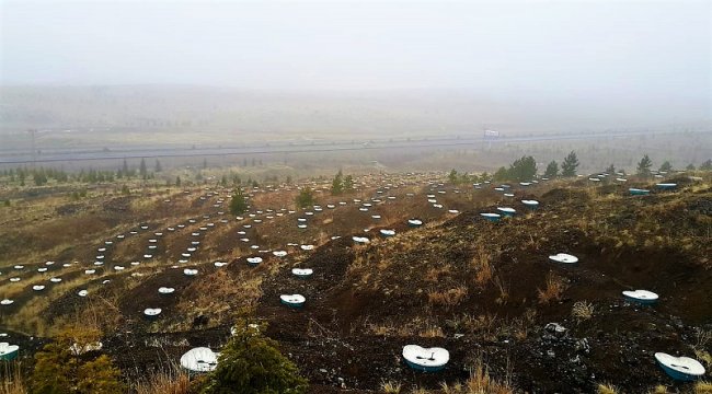 Kuraklıkla Mücadelede “Bitki Destek Üniteleri” Kullanılmaya Başlandı