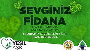 Sevdiğine Bir Fidan Armağan Et