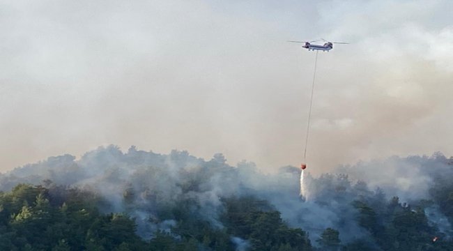 28 Temmuzdan Bu Yana Devam Eden Orman Yangınları