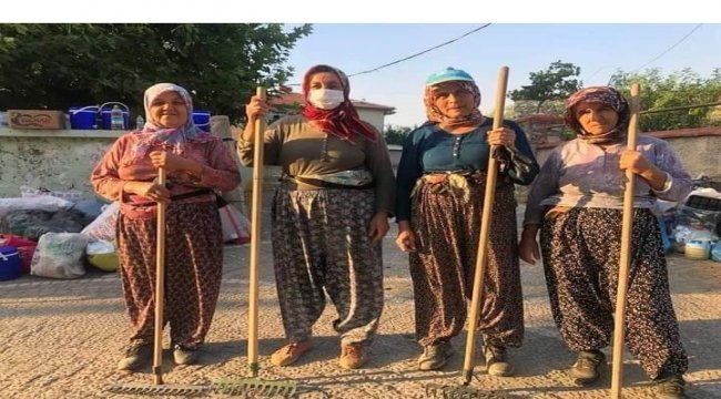 Devlet, Millet El Ele Omuz Omuza