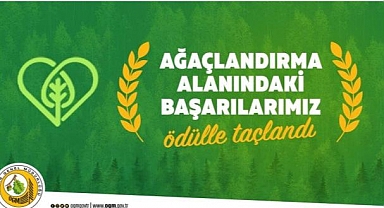 Ağaçlandırma Alanındaki Başarılarımız Ödülle Taçlandı