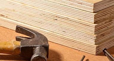 Plywood İçin Yeni Tutkal Geliştirdiler
