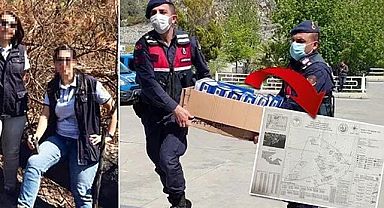 3 Milyonluk Orman Vurgunu Deşifre Edildi