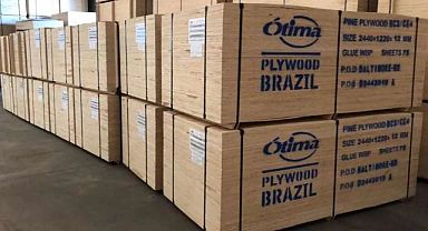 Brezilya Plywood Fabrikalarına ABD Darbesi