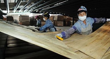Çin Plywood Fiyatlarına %6 Zam Yaptı