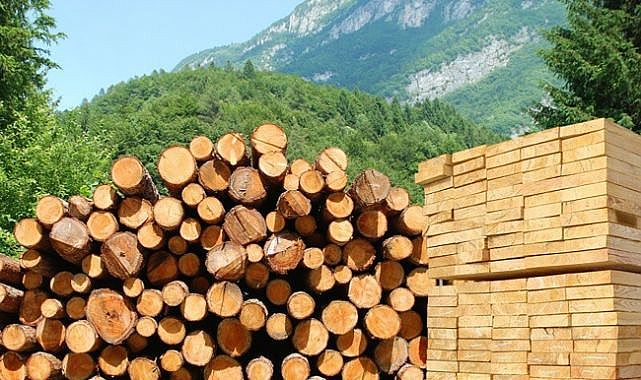 Finlandiya Odun İthalatı İlk Çeyrekte %40 Düşürdü