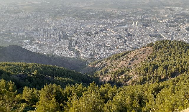 Manisa'da Ormanlık Alanlara Giriş Yasaklandı