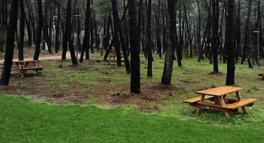 Orman Parkı Başvurusunda Yeni Karar