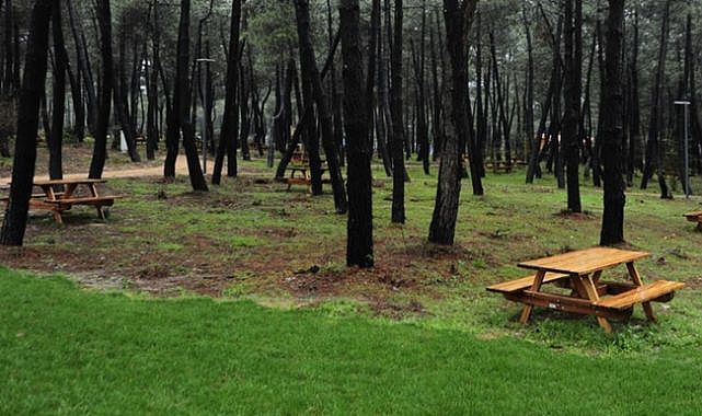Orman Parkı Başvurusunda Yeni Karar