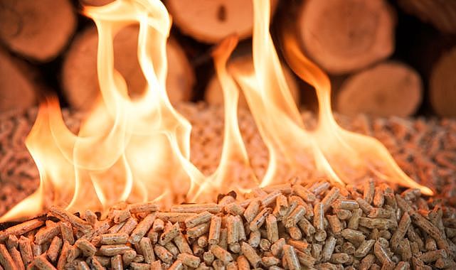 Avrupa Pelet Konusunda İkiye Bölündü!