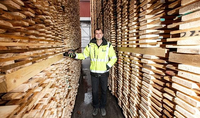 Estonya'da Ahşap ve Kereste Sektörü Çıkmaza Girdi