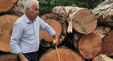 Orman Genel Müdürü İddialara Cevap Verdi!