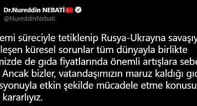 Bakan Nebati: