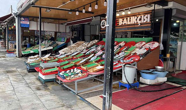 Balıkçılar bu sezon bolluk bekliyor, 'Vira Bismillah' diyecekler