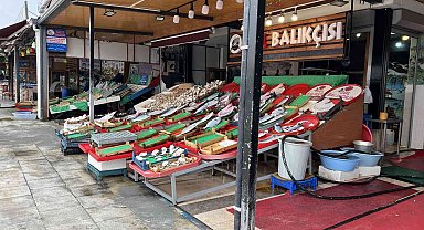 Balıkçılar bu sezon bolluk bekliyor, 'Vira Bismillah' diyecekler