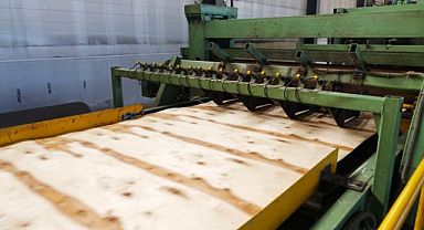 Çin Plywood fiyatı Haziran'da %15 arttı