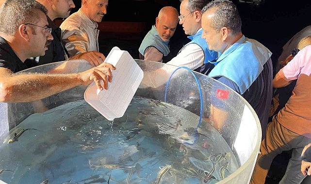 Denizlerde av sezonu başladı