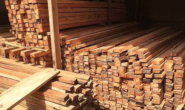 Kırgızistan Kereste ihracatına geçici kısıtlama getiriyor