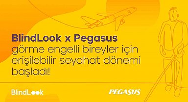 Pegasus'tan görme engelli bireyler için kapsayıcı ve engelsiz online deneyim