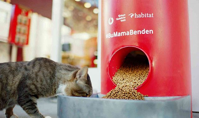 Pet shop alışverişi sokak hayvanları için mamaya dönüşüyor