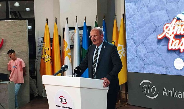 Ankara'nın andezit taşı tescillendi