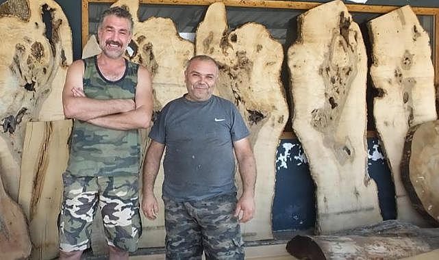 Atık Ağaçları Sanat Eserine Dönüştürüyorlar