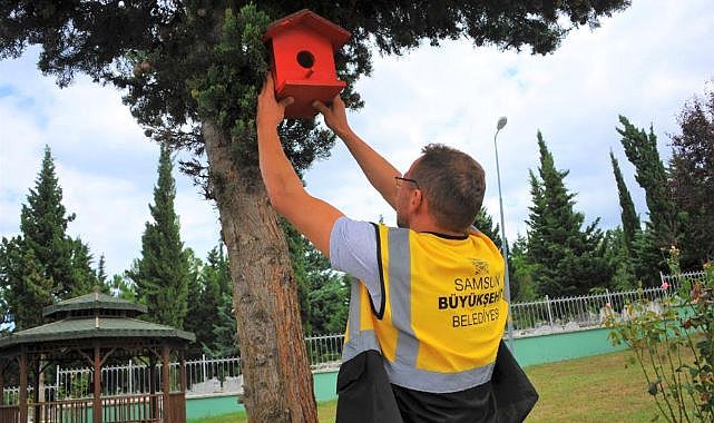 Atık Ahşaplar Kuşların Yuvası Oldu