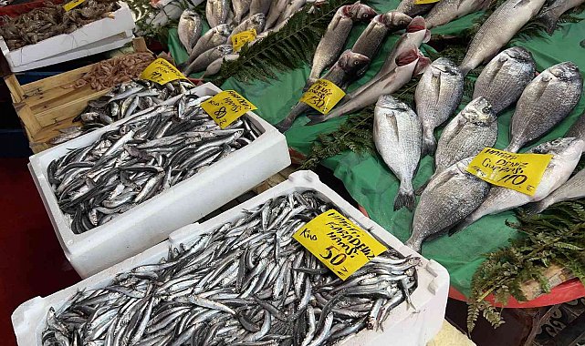 Av sezonu açıldı, tezgahlar balık doldu