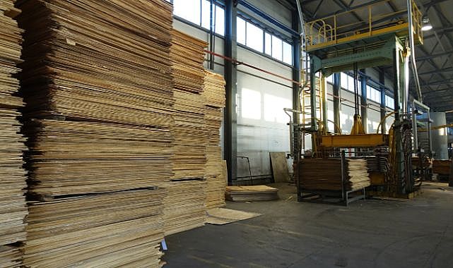 Brezilya Plywood İhracatı Yarı Yarıya Düştü