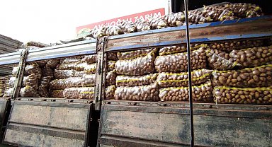 Halde patates ve soğan bolluğu