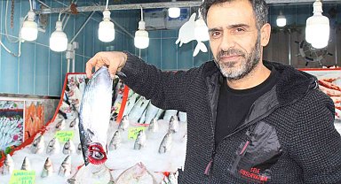 Balıkta bereket yılı