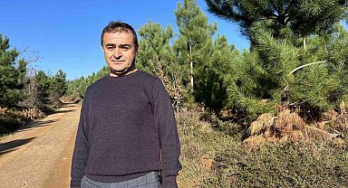 ''Endüstriyel plantasyonlar, doğal ormanların korunmasına çare oluyor''