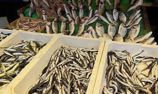 Balık tezgahlarında palamutun yerini çinekop ve hamsi aldı