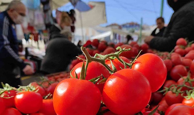 İstanbul'da Kasım ayında en çok domates pahalandı