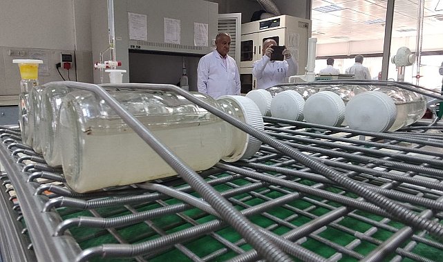 Tarım ve Orman Bakanlığı çiftçilerin yüksek kalitede ürün elde etmesini sağlıyor