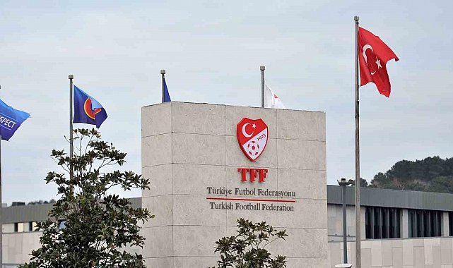 6 Süper Lig takımı PFDK'ya sevk edildi